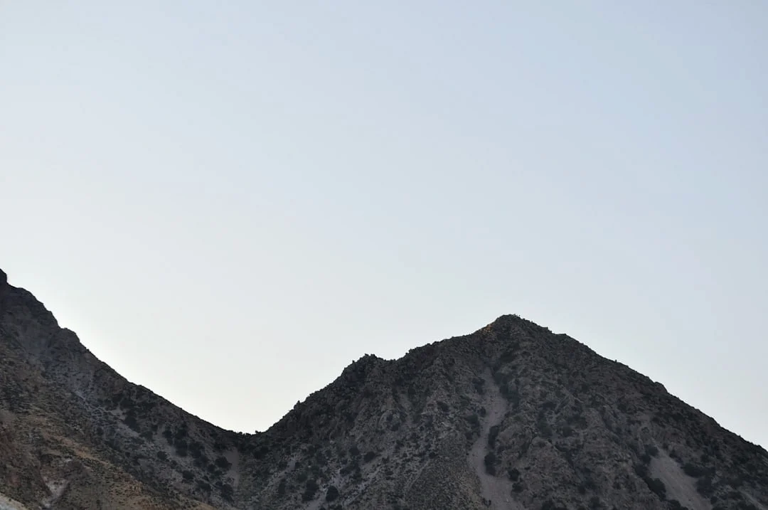 risk-taking personality Can Bazi Reveal Risk-Taking Personality in Business? chinese metaphysics illustration abstract energy