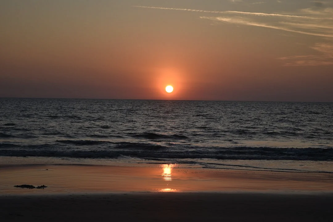 elemento astronómico que influye en la confianza ¿Puede su elemento astronómico influir en su confianza en sí mismo? chinese metaphysics illustration zen style