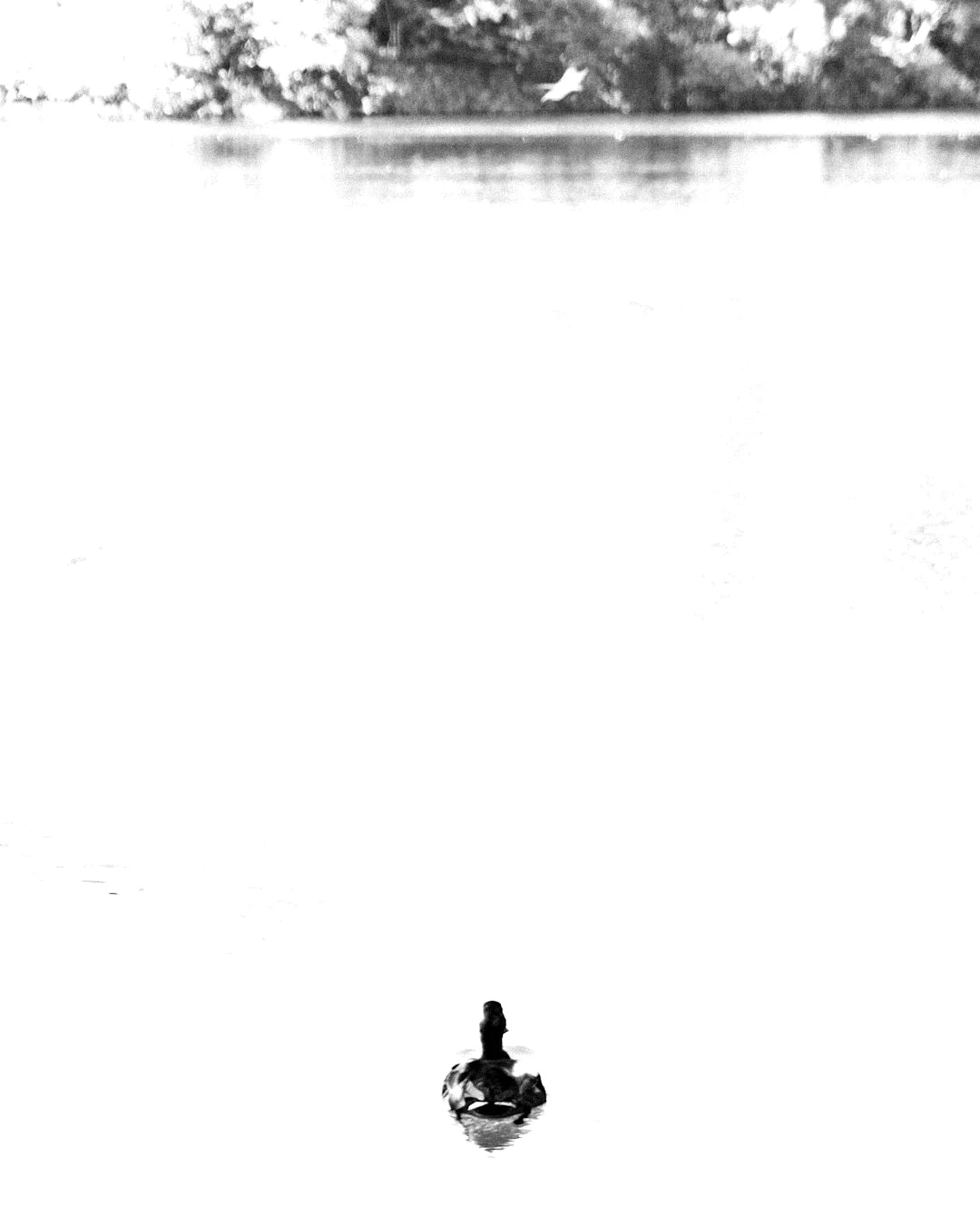 Bazi elección de carrera ¿Cómo Bazi ayuda a elegir el camino correcto en la carrera chinese metaphysics illustration abstract energy