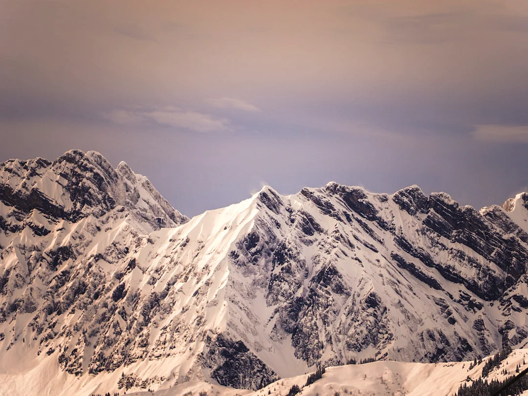 Maestros del Día Estrés Gestionar el estrés en Maestros del Día: Visión Bazi chinese metaphysics illustration zen style