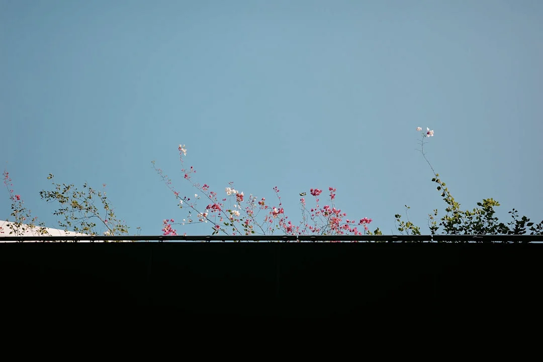 Maestros del Día Estrés Gestionar el estrés en Maestros del Día: Visión Bazi chinese metaphysics illustration abstract energy