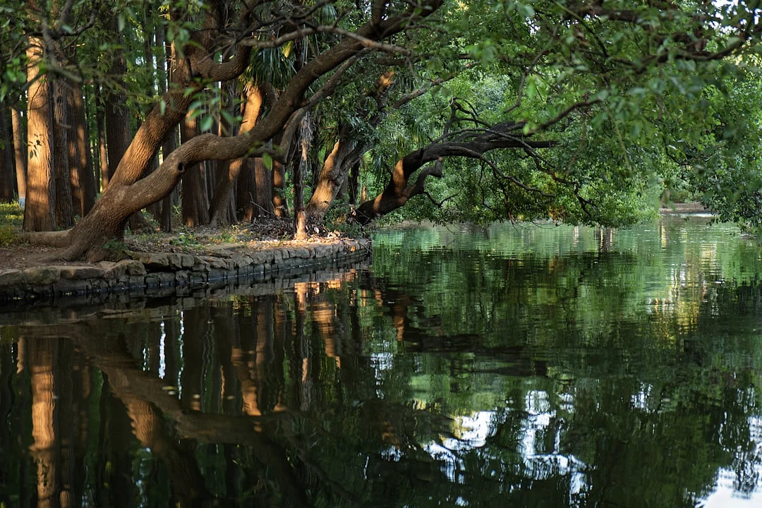 Fire Day Masters Expresión de Energía Descubriendo las técnicas de expresión de energía de Fire Day Masters chinese metaphysics illustration zen style