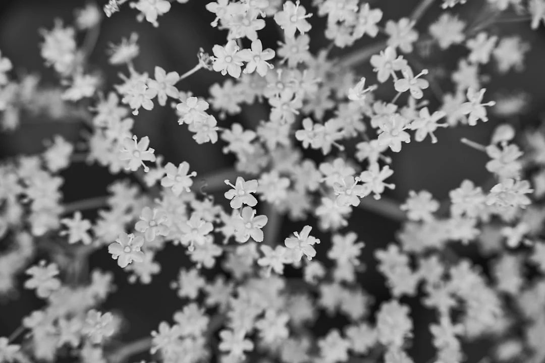 Maestros de Agua Dominar los Desafíos de la Vida con Maestros de Agua chinese metaphysics illustration zen style