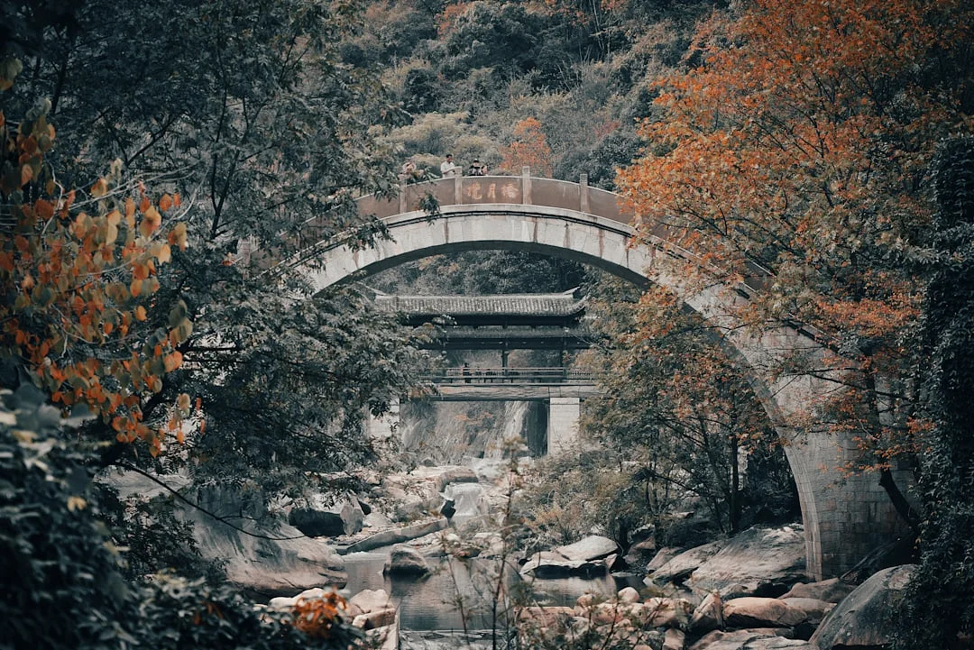 Carta Bazi Calcula tu Carta Bazi paso a paso: Una guía completa chinese metaphysics illustration abstract energy