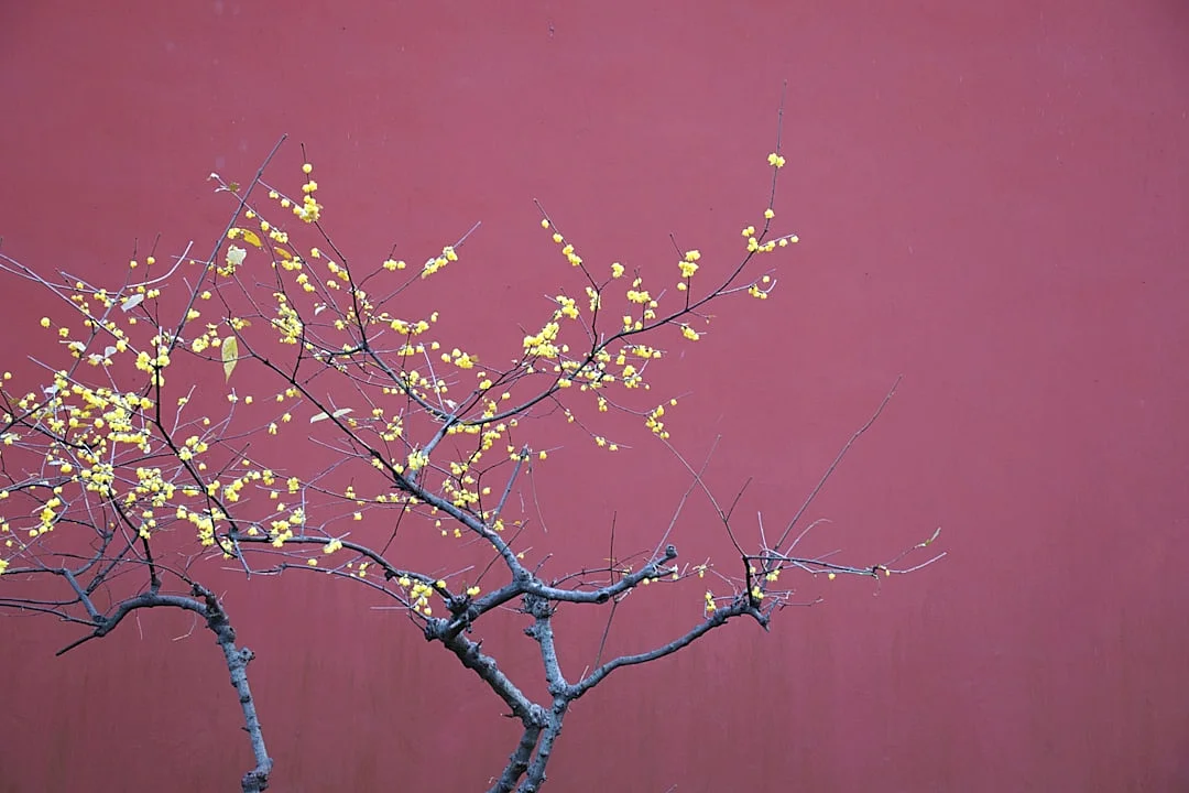 Patrones de Bazi carreras creativas Patrones de Bazi para carreras creativas: libere su potencial chinese metaphysics illustration zen style