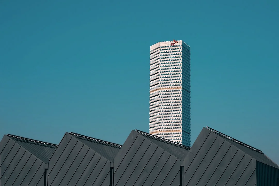 Signos Bazi para Alta Ambición Signos Bazi para Alta Ambición y Éxito chinese metaphysics illustration zen style