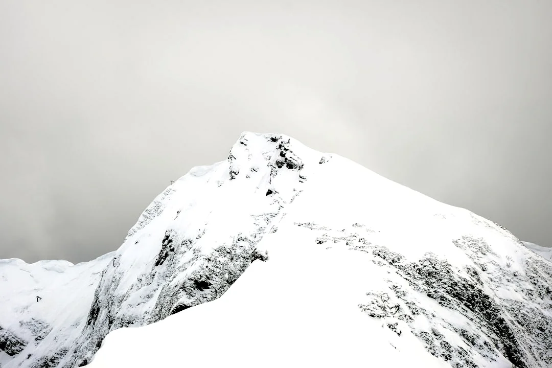 Ingresos Estables Bazi Signos ¿Qué Signos de Bazi Indican una Ingresos Estables? chinese metaphysics illustration zen style