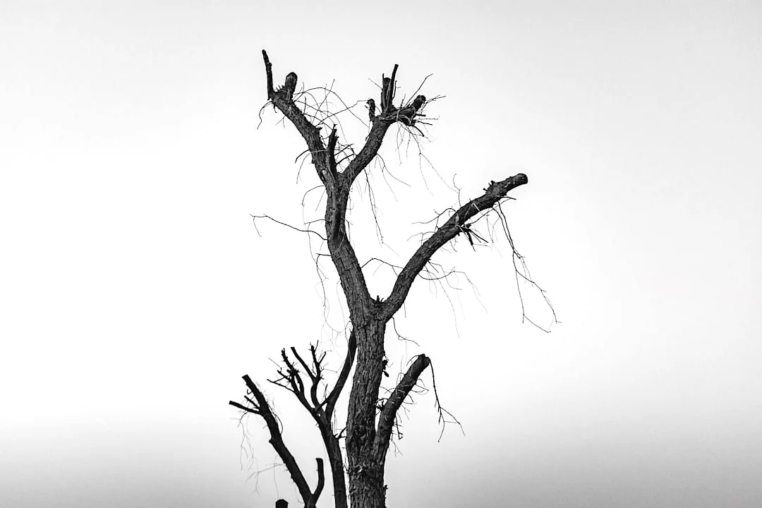 Day Master What Happens When Your Day Master Is Too Strong? chinese metaphysics illustration abstract energy