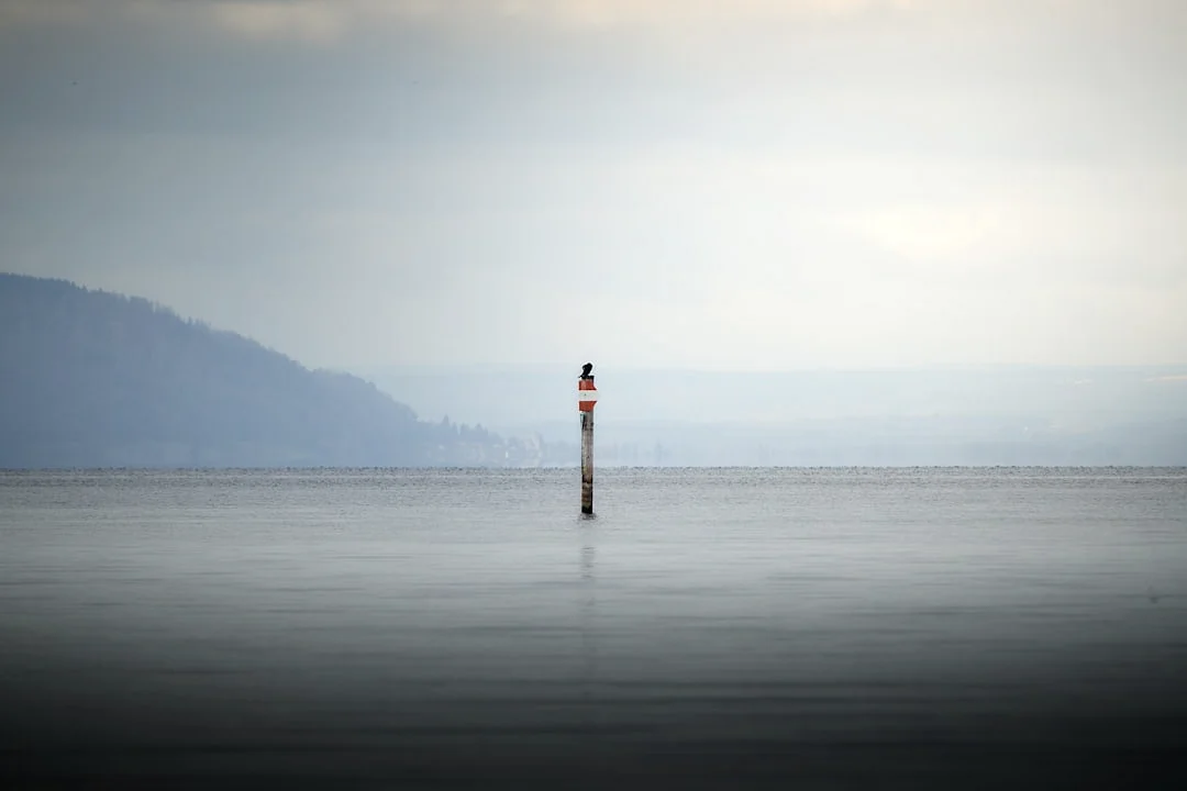 Gráfico de Bazi Desbloquear las pautas de la vida con los gráficos de Bazi: Qué revelan chinese metaphysics illustration abstract energy