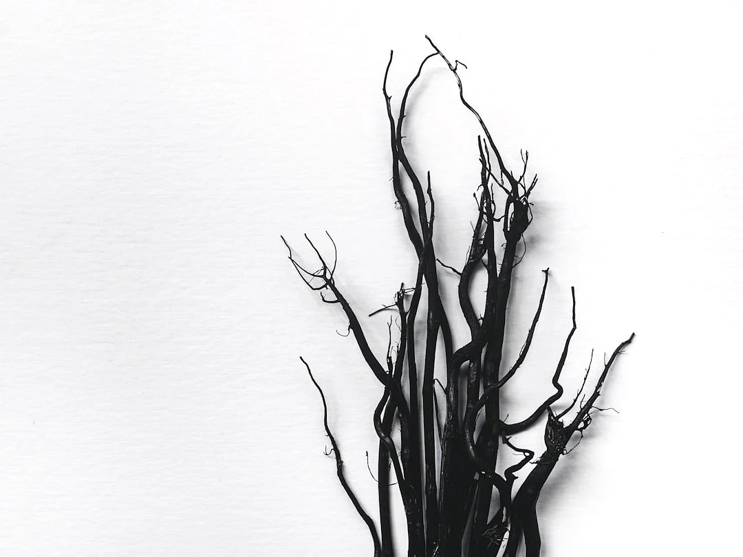 Business Success Elements Which Elements Support Business Success? chinese metaphysics illustration zen style