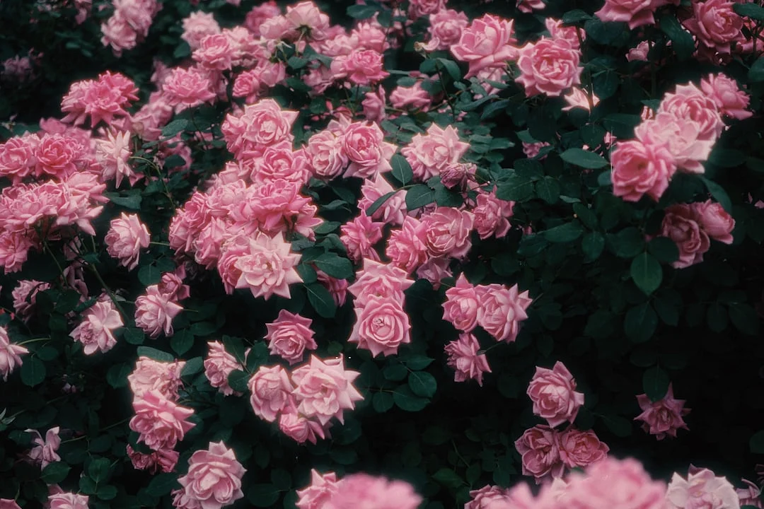 ¿Por qué algunos gráficos muestran un potencial de riqueza fuerte? Desbloquear el potencial de riqueza con gráficos de Bazi chinese metaphysics illustration abstract energy