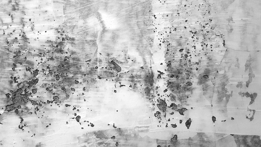 cambios de carrera Comprender cambios de carrera: Por qué la gente cambia de trabajo con frecuencia chinese metaphysics illustration zen style