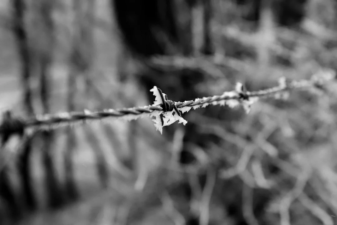 Bazi luchas financieras ¿Por qué algunas personas luchan financieramente en el Bazi? chinese metaphysics illustration abstract energy